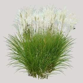 ͼʦģֲģȫ20221871