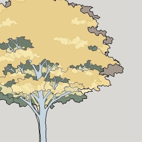 ͼʦģֲTTrees2Dֱģ146