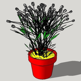 ͼʦģֲģȫ20221329