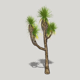 ͼʦģֲģȫ20221205