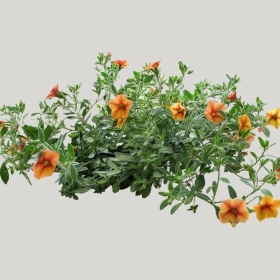 ͼʦģֲģȫ20221929