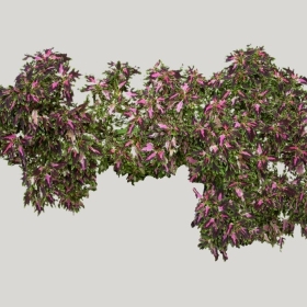 ͼʦģֲģȫ20222064