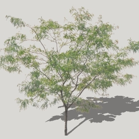 ͼʦģֲģȫ20221292