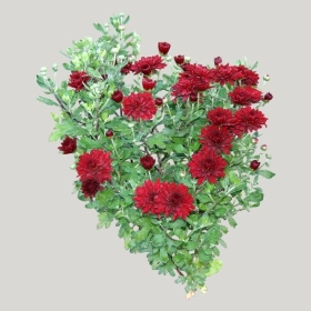 ͼʦģֲģȫ20221408