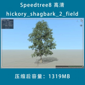 SpeedTree8 树库一棵 hickory_shagbark_2_field_003