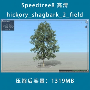 SpeedTree8 һ hickory_shagbark_2_field_003