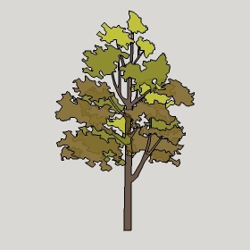 ͼʦģֲģȫ20222704