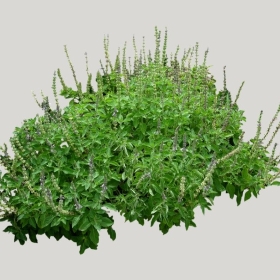 ͼʦģֲģȫ20221612