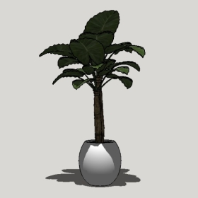 ����ֲ��_Sketchup��ͼ��ʦģ��Enscape����22020426517