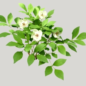 ͼʦģֲģȫ20221738