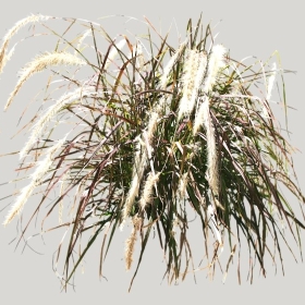 ͼʦģֲģȫ20221369