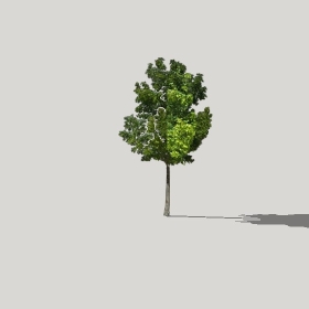 ͼʦģֲģȫ20221006