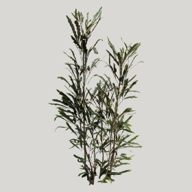 ͼʦģֲģȫ20221158