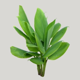 ͼʦģֲģȫ20221604