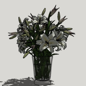 ����_Sketchup��ͼ��ʦģ��Enscape����22020426348