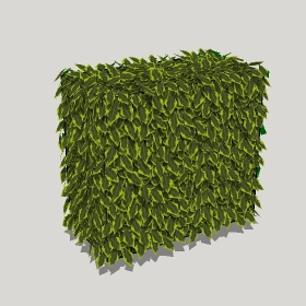 ͼʦģֲģȫ20221203