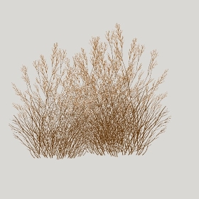 ͼʦģֲģȫ20222433