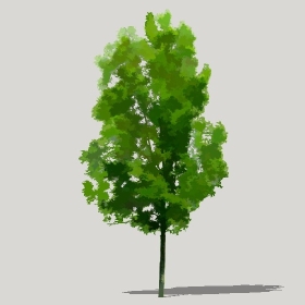 ͼʦģֲģȫ20221224