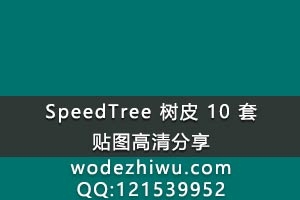 speedtree 植物制造软件用 10种树皮 高清植物多通贴图 素材 图片