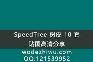speedtree ֲ 10Ƥ ֲͨͼ ز ͼƬ