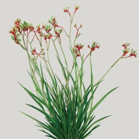 ͼʦģֲģȫ20222268