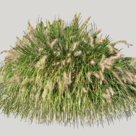 ͼʦģֲģȫ20221109