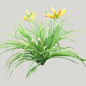 ͼʦģֲģȫ20221032