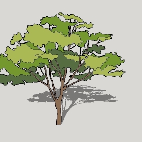 ͼʦģֲģȫ20222709