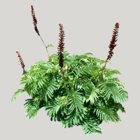 ͼʦģֲģȫ20221616