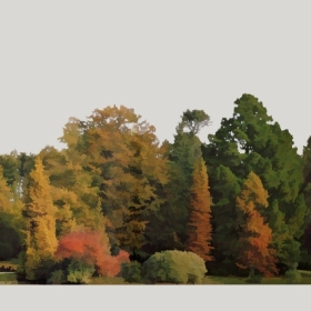 ͼʦģֲģȫ20221289