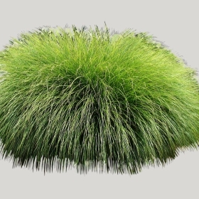 ͼʦģֲģȫ20221874