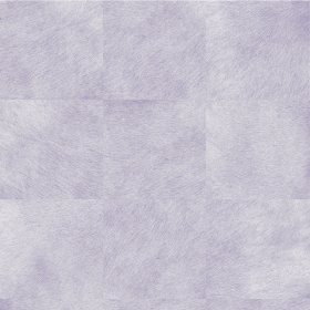 ̺ë437