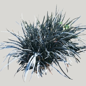 ͼʦģֲģȫ20221848