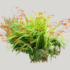 ͼʦģֲģȫ20221941