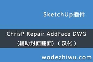 ChrisP Repair AddFace DWG (淭) Ż
