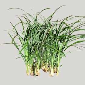 ͼʦģֲģȫ20221112