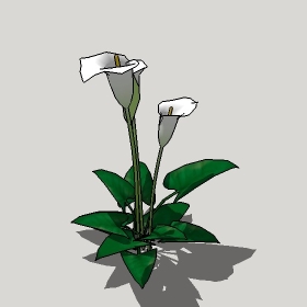 ͼʦģֲģȫ20221252