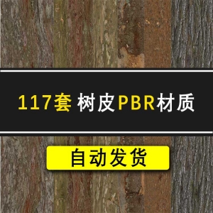 Ƥ 117ز ͼ pbrͼ  ޷