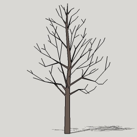 ͼʦģֲTTrees2Dֱģ079