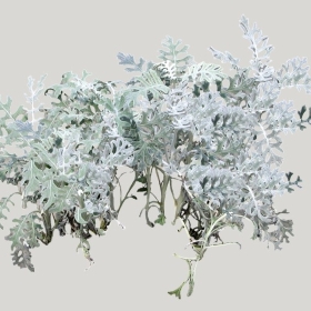 ͼʦģֲģȫ20221098