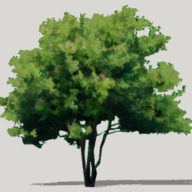 ͼʦģֲģȫ20221210