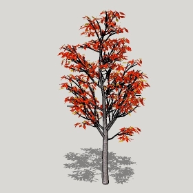 ͼʦģֲģȫ20221191