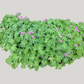 ͼʦģֲģȫ20221438