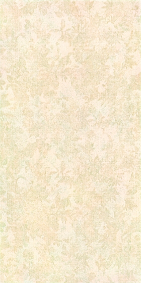 ʯɲǽשǽש 300X600ĵͤ96528300X600MM