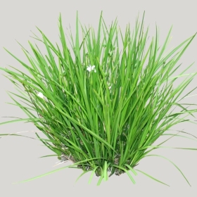 ͼʦģֲģȫ20221365