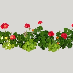 ͼʦģֲģȫ20221454