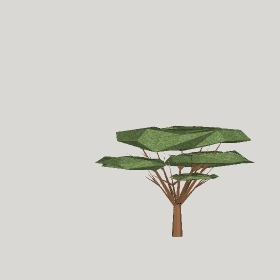 ͼʦģֲģȫ20222390