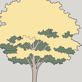 ͼʦģֲģȫ20222372