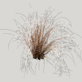 ͼʦģֲģȫ20221370