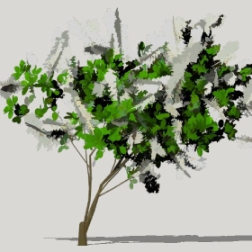 ͼʦģֲģȫ20221243